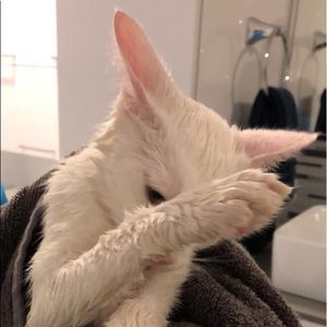 Meet your Posher, Sara